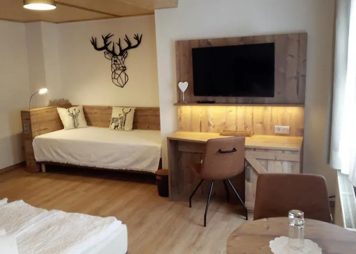 Brockenhexe Mit Restaurant & Cafe ゲストハウス 3*